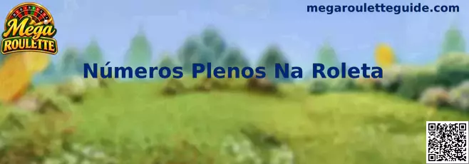 Números Plenos Na Roleta Mega Roulette